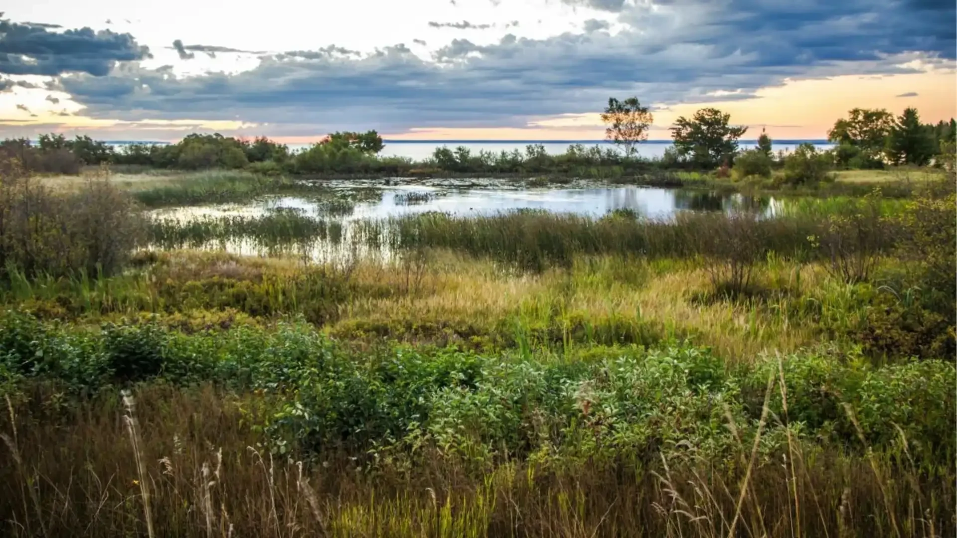 Fagstoff fra Isoteks Miljø 7